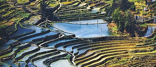 Bada Rice Terraces