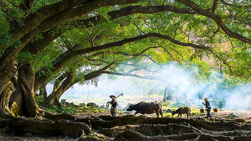 Best Time To Travel To China 