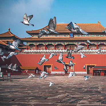 Forbidden City