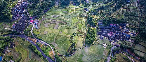 Longji Rice Terraces