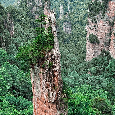 Zhangjiajie Day Tour